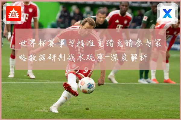 世界杯赛事与精准竞猜竞猜参与策略数据研判战术观察-深度解析